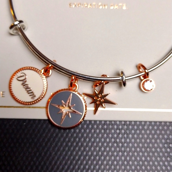 Fine Silver Plated Dream Charm adjustable bracelet - Picture 3 of 7